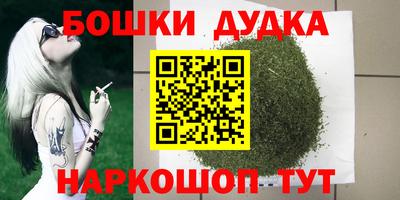 прущие грибы Нальчик