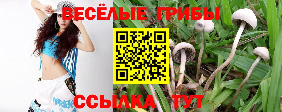 Городец  Галлюциногенные грибы ЛСД  Вход с VPN 